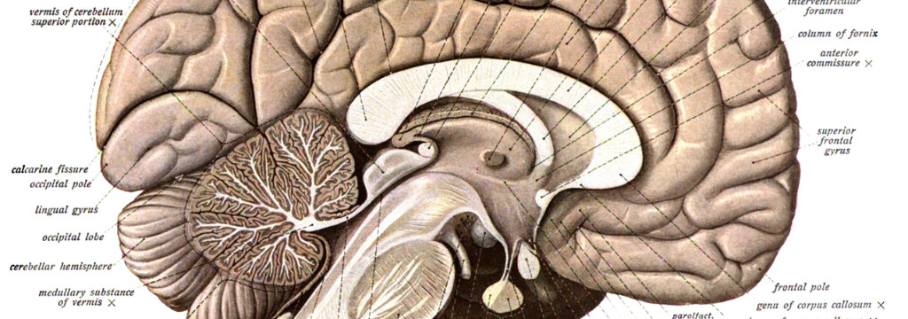 hack your brain